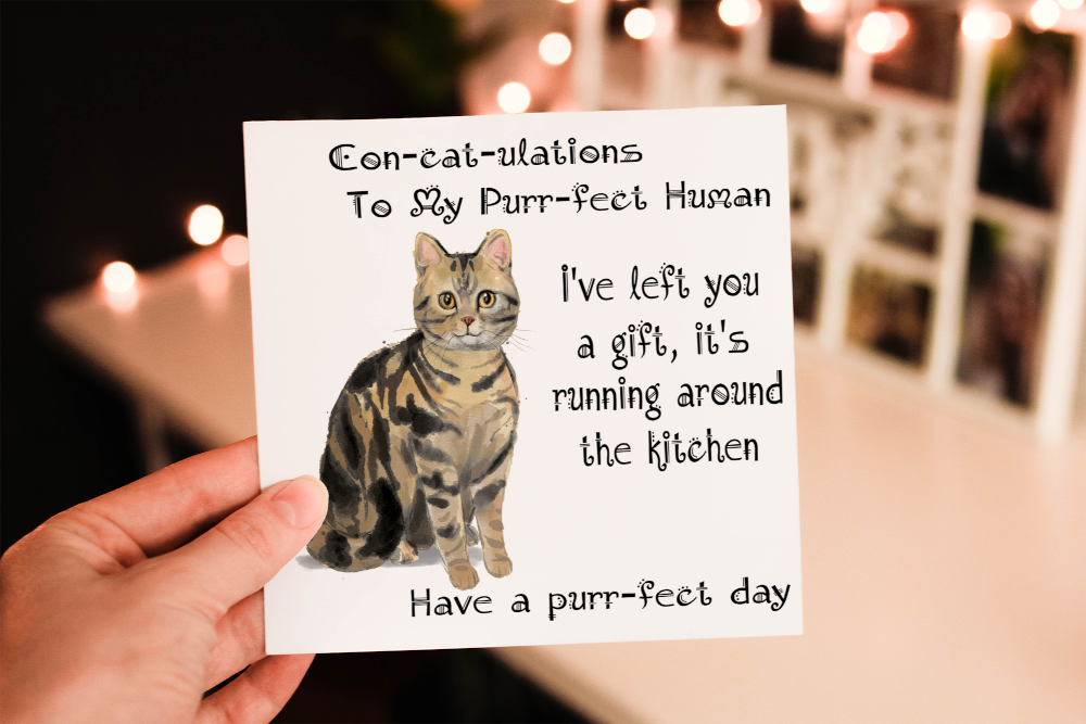 American Shorthaired Tabby Cat Birthday Card, Cat Birthday Card