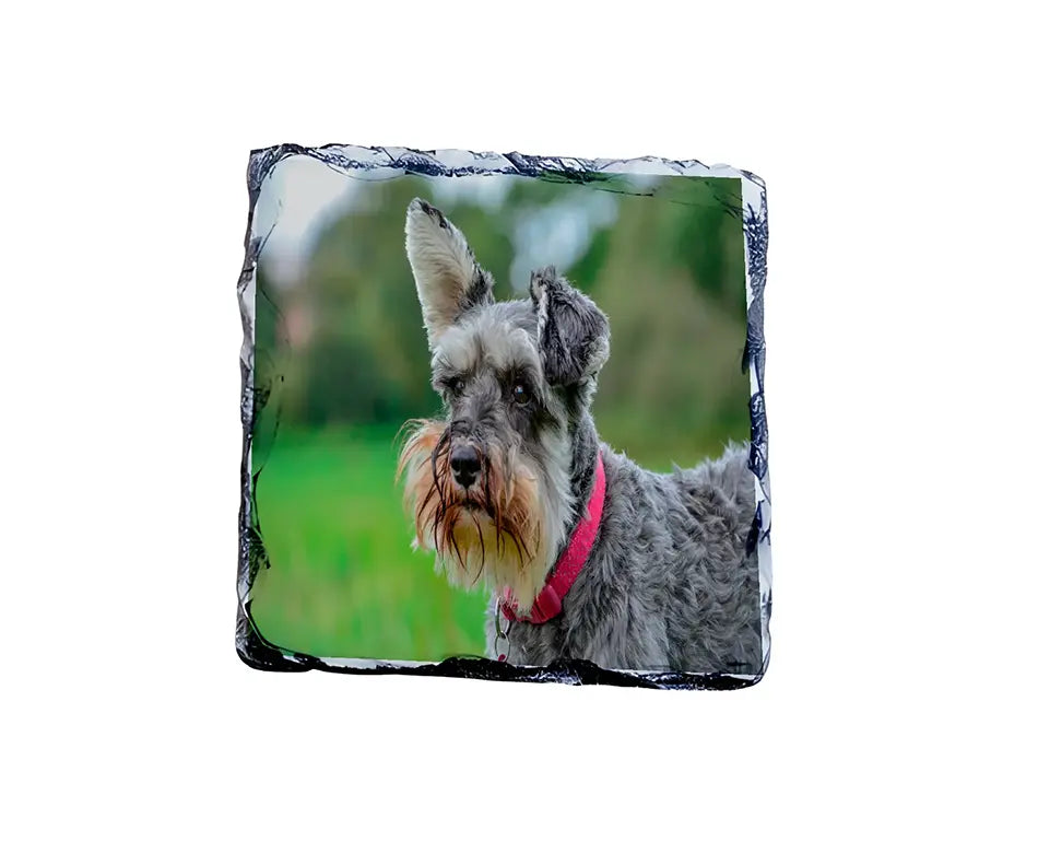 Example personalised photo slate coaster with a printed image