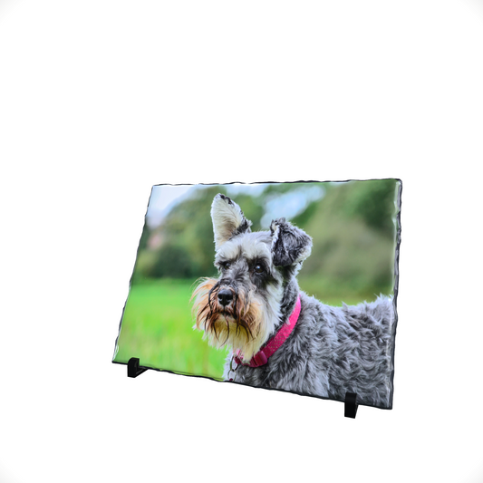 High Gloss Panoramic Slate 20cm x 30cm