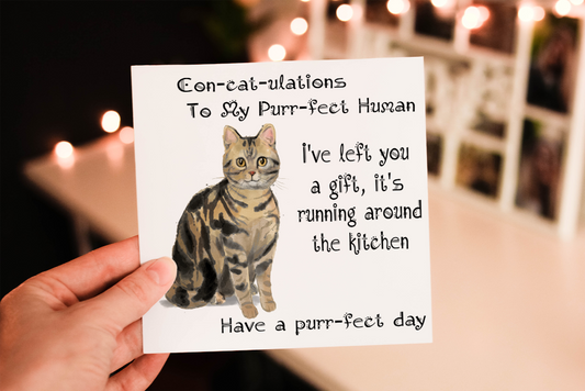 American Shorthaired Tabby Cat Birthday Card, Cat Birthday Card