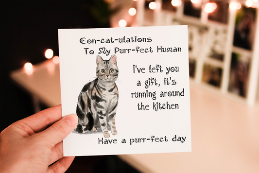 American Shorthaired Tabby Cat Birthday Card, Cat Birthday Card