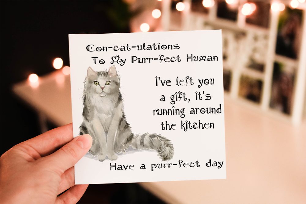 Ragamuffin Cat Birthday Card