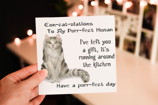 Ragamuffin Cat Birthday Card