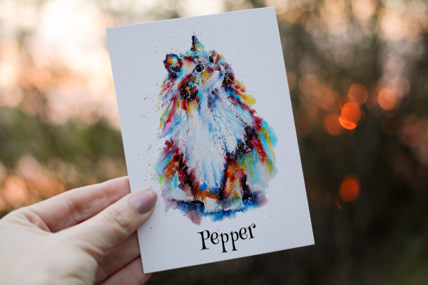 Ragdoll Cat Greetings Card