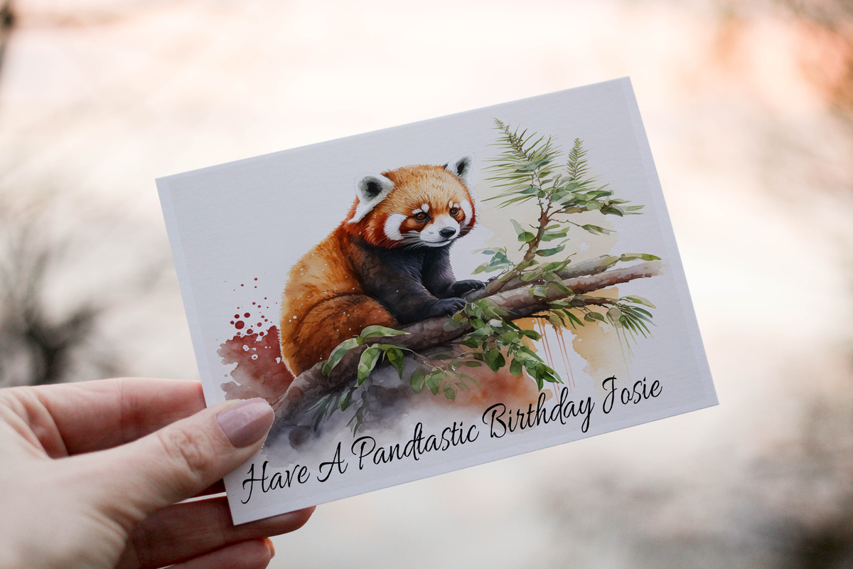 Llun o gerdyn sy'n dangos panda coch ar gangen.