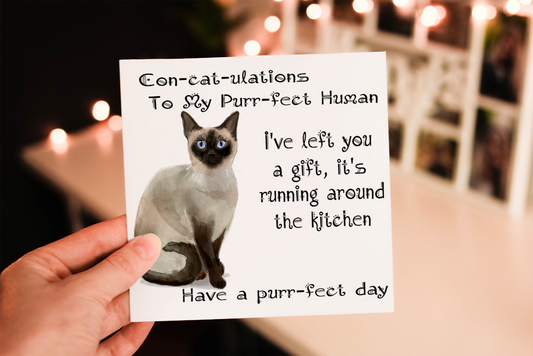 Siamese Cat Birthday Card, Cat Birthday Card