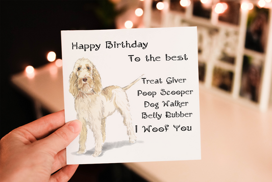 Spinone Italiano Dog Birthday Card, Dog Birthday Card
