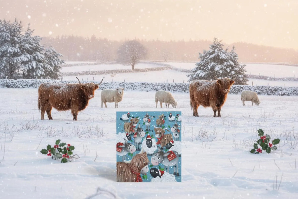 Farm Animal Christmas Advent Calendar Card, Festive Countdown, 24 Windows, Artist Tim Mason Farm Animal Christmas Advent Calendar Card, Festive Countdown, 24 Windows, Artist Tim Mason