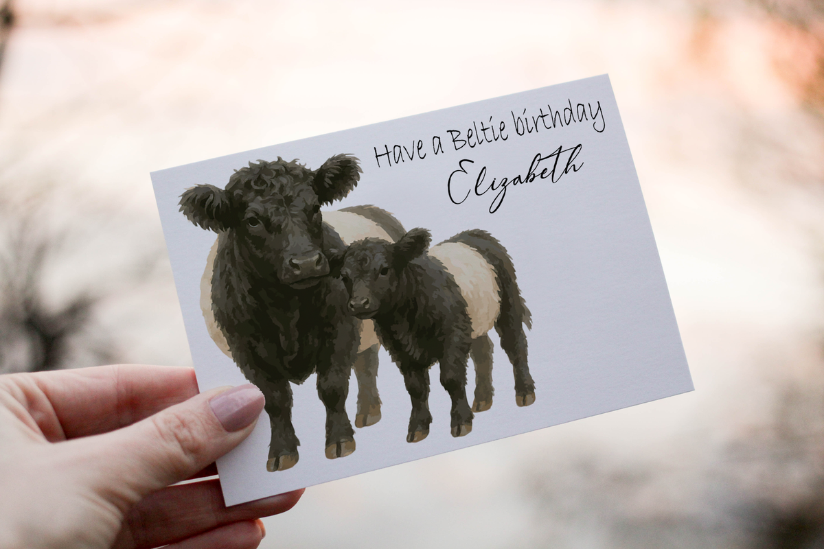 Llun o gerdyn sy'n dangos gwartheg Beltie.