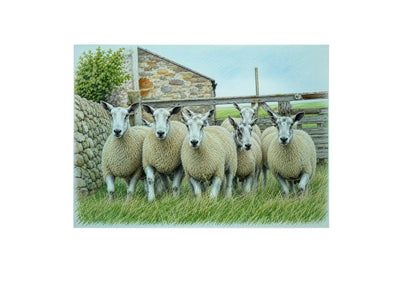 Blue Faced Leicester Chopping Board - Blue Faced Leicester Worktop Saver Blue Faced Leicester Chopping Board - Blue Faced Leicester Worktop Saver
