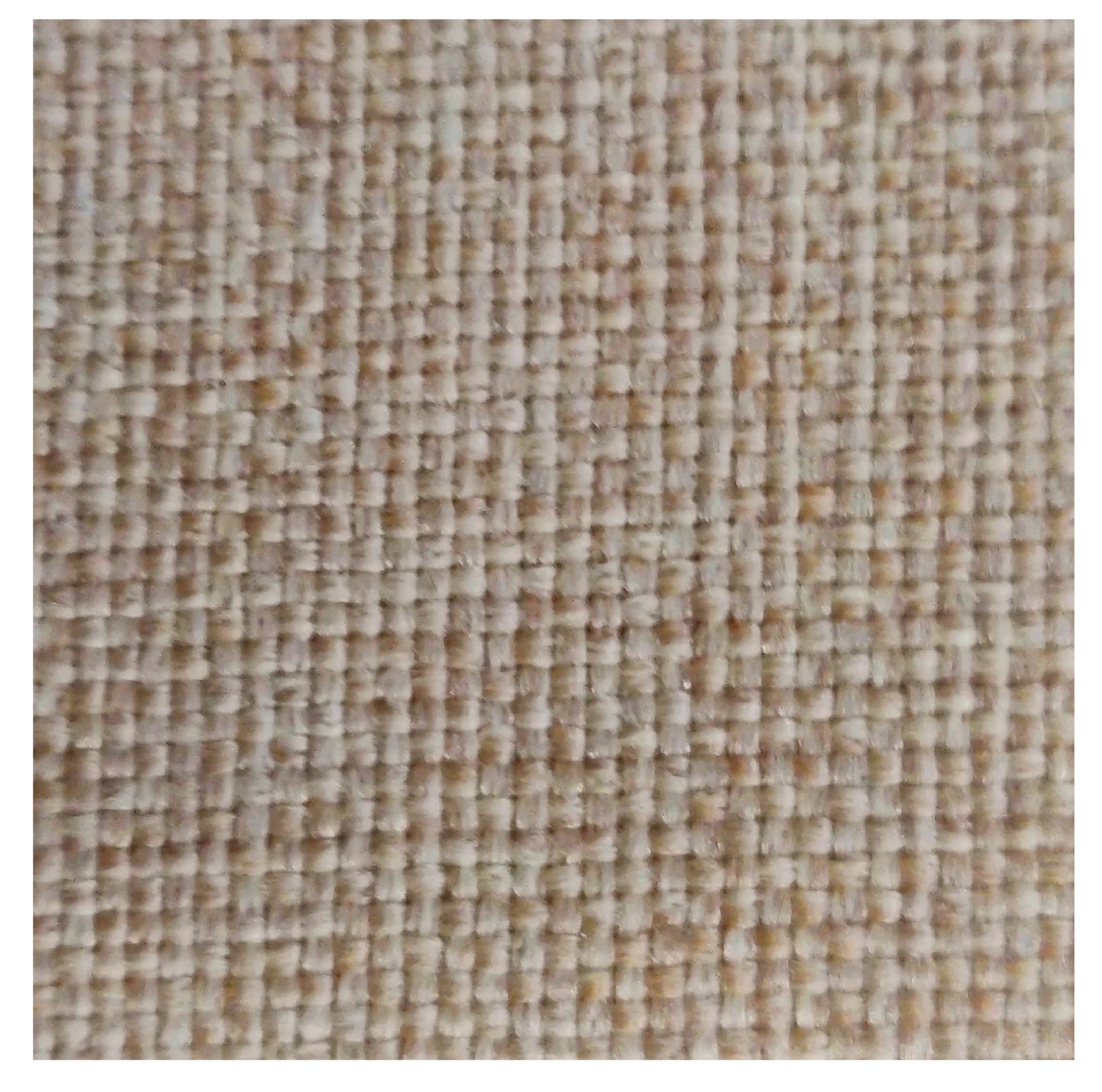 Welsh Black Cattle Tote Bag