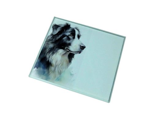 Collie Glass Coaster (Set of 4)