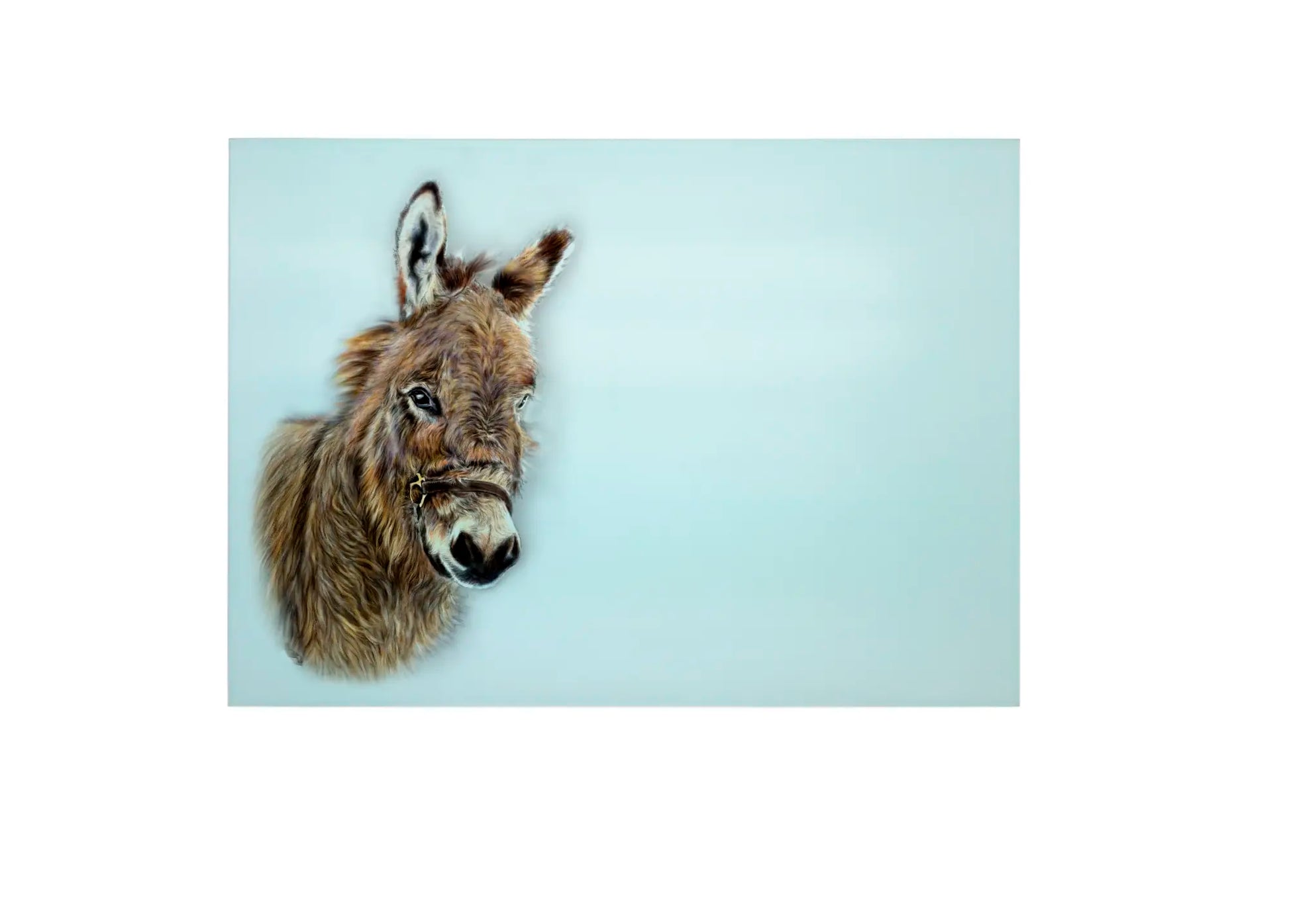 Donkey Large Glass Chopping Board, Donkey Worktop Saver