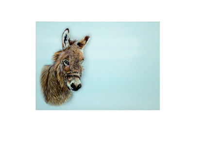 Donkey Large Glass Chopping Board, Donkey Worktop Saver