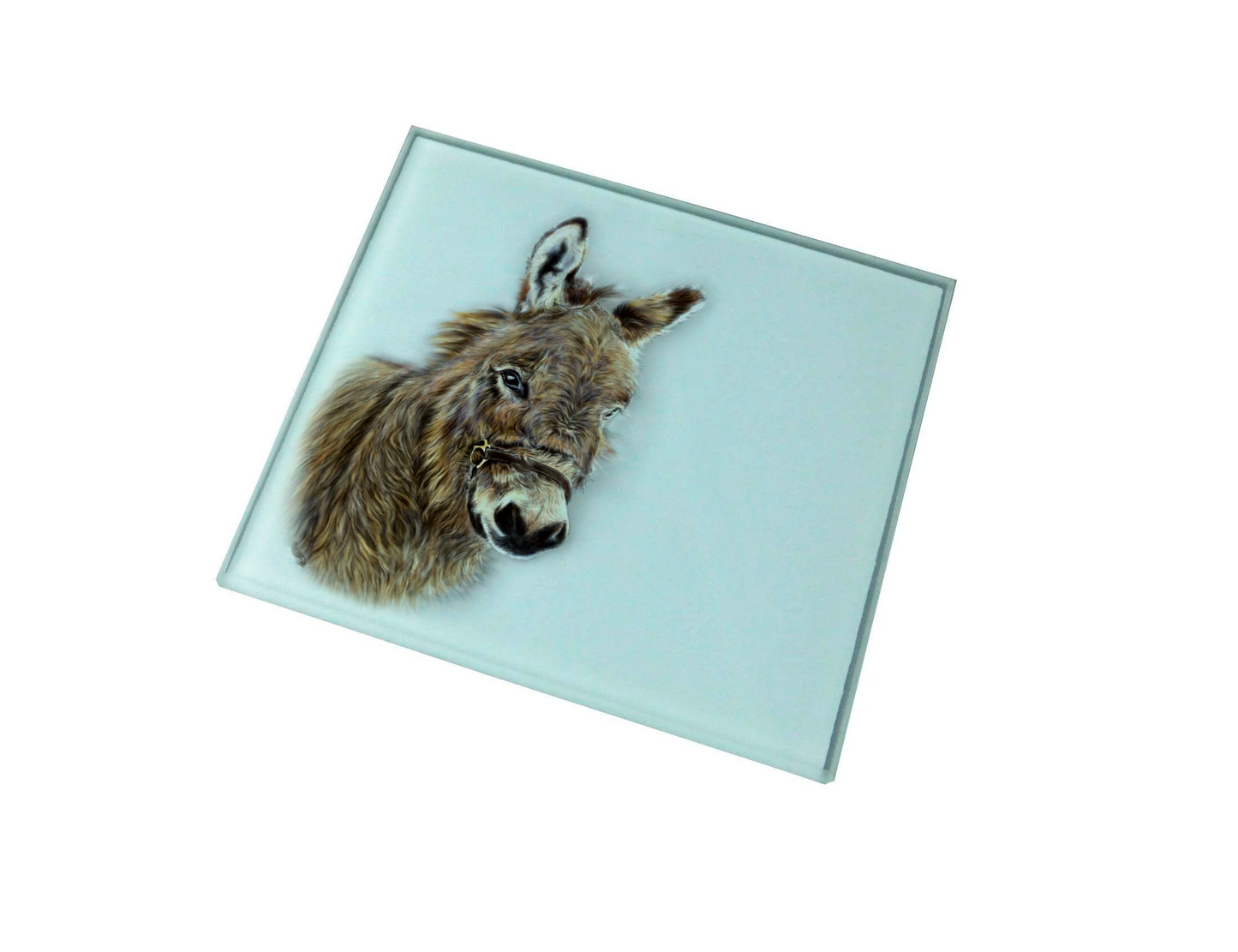 Donkey Glass Coaster (Set of 4)