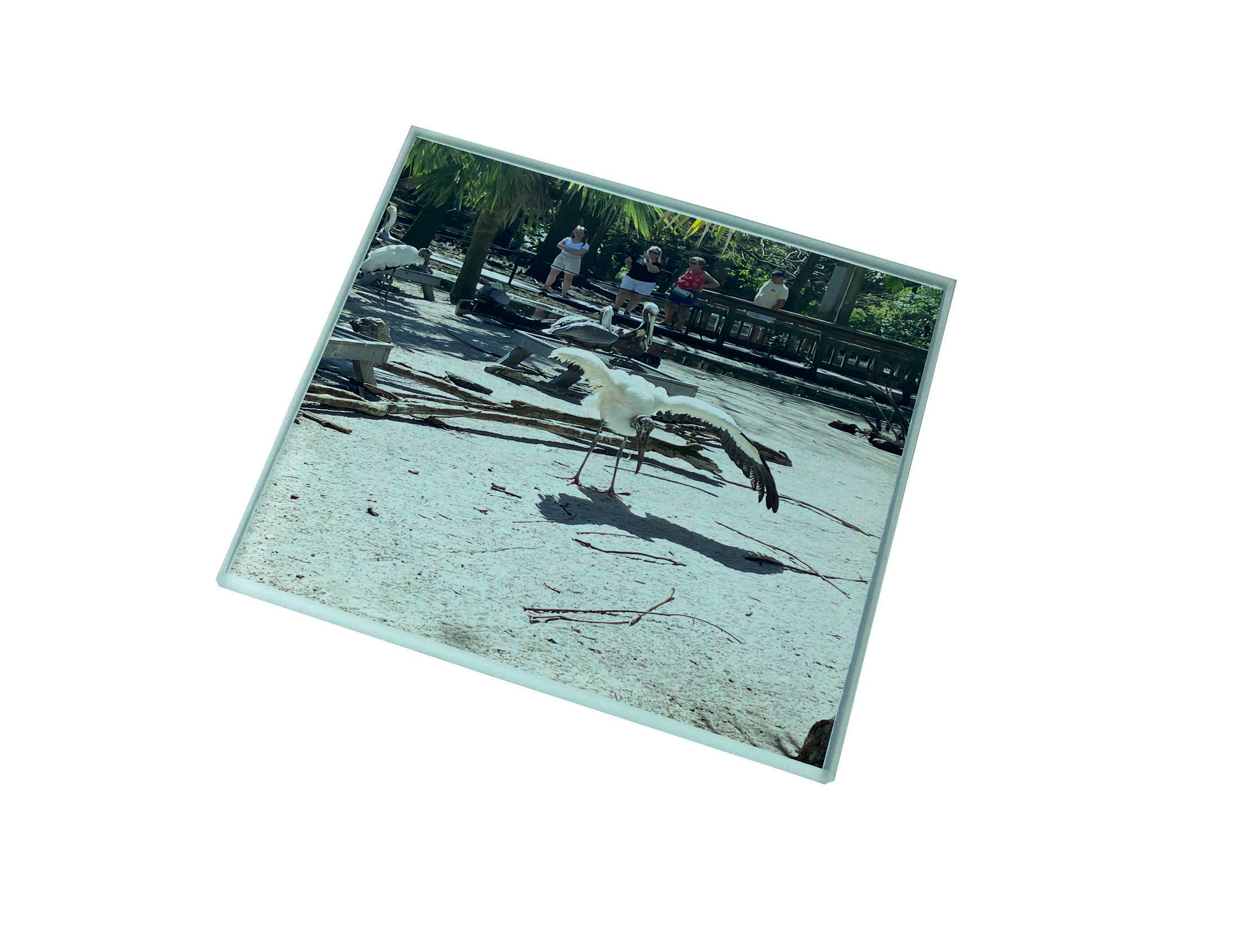 Create Your Own Glass Coasters (Set of 4)