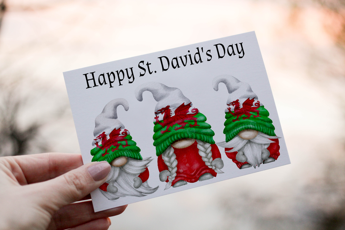 St David's Day Gnome Card: Welsh Dragon, Personalised