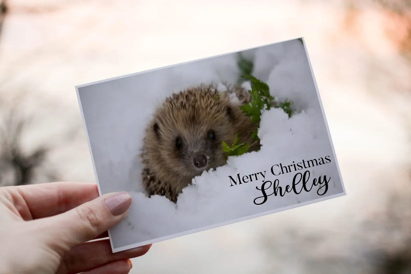 Personalised Hedgehog Christmas Card