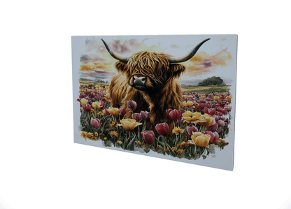 Highland Cow.... Glossy Aluminium Print
