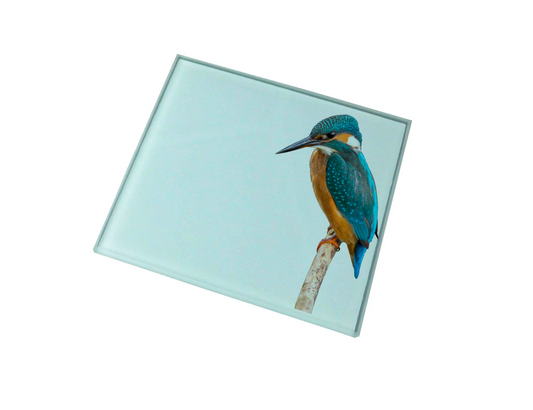 Kingfisher Glass Coaster (Set of 4)