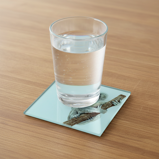 Koala and Baby Glass Coaster (Set of 4)