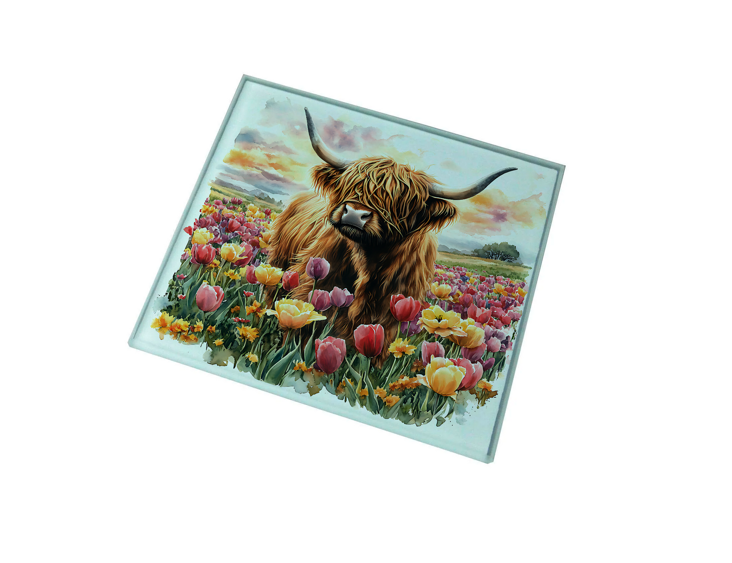 Highland Cow Glass Coaster (Set of 4)