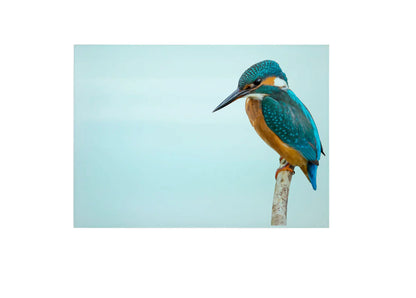 Kingfisher Large Glass Chopping Board, Kingfisher Worktop Protector