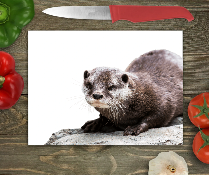 Otter Glass Chopping Board, Otter Cutting Board, Otter Worktop Saver