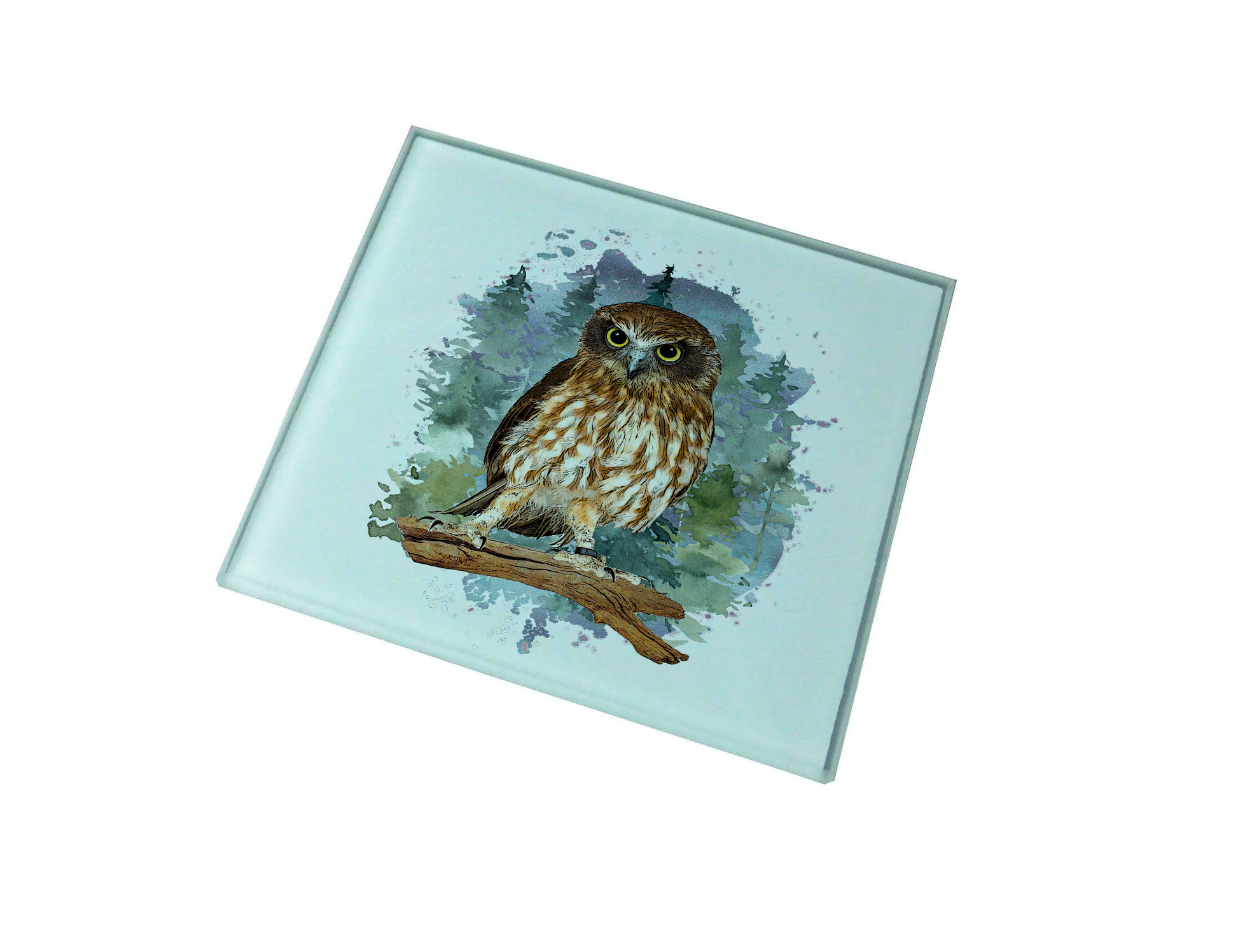 Owl Glass Coaster (Set of 4)