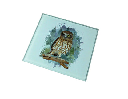 Owl Glass Coaster (Set of 4)
