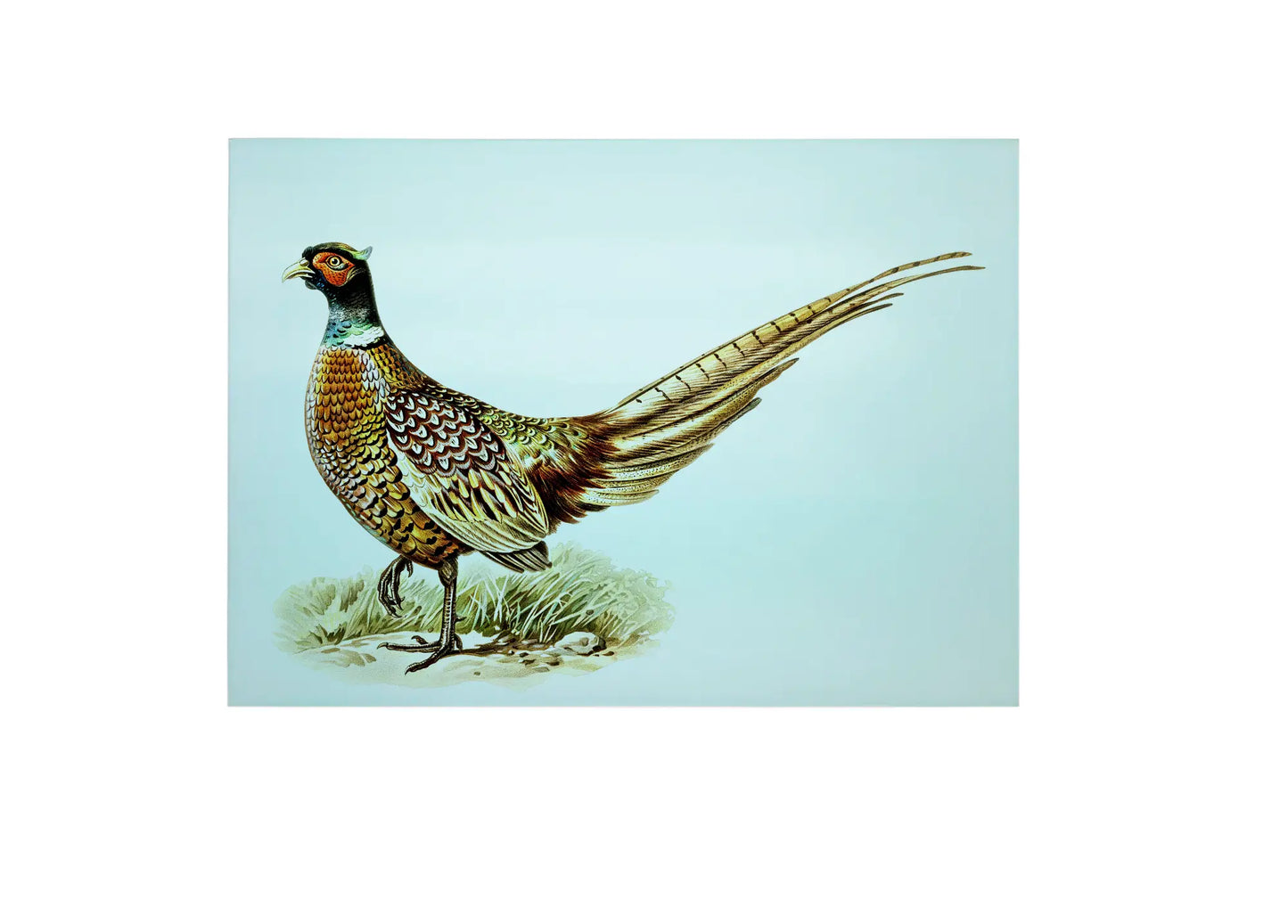 Pheasant Large Glass Chopping Board, Pheasant Worktop Saver