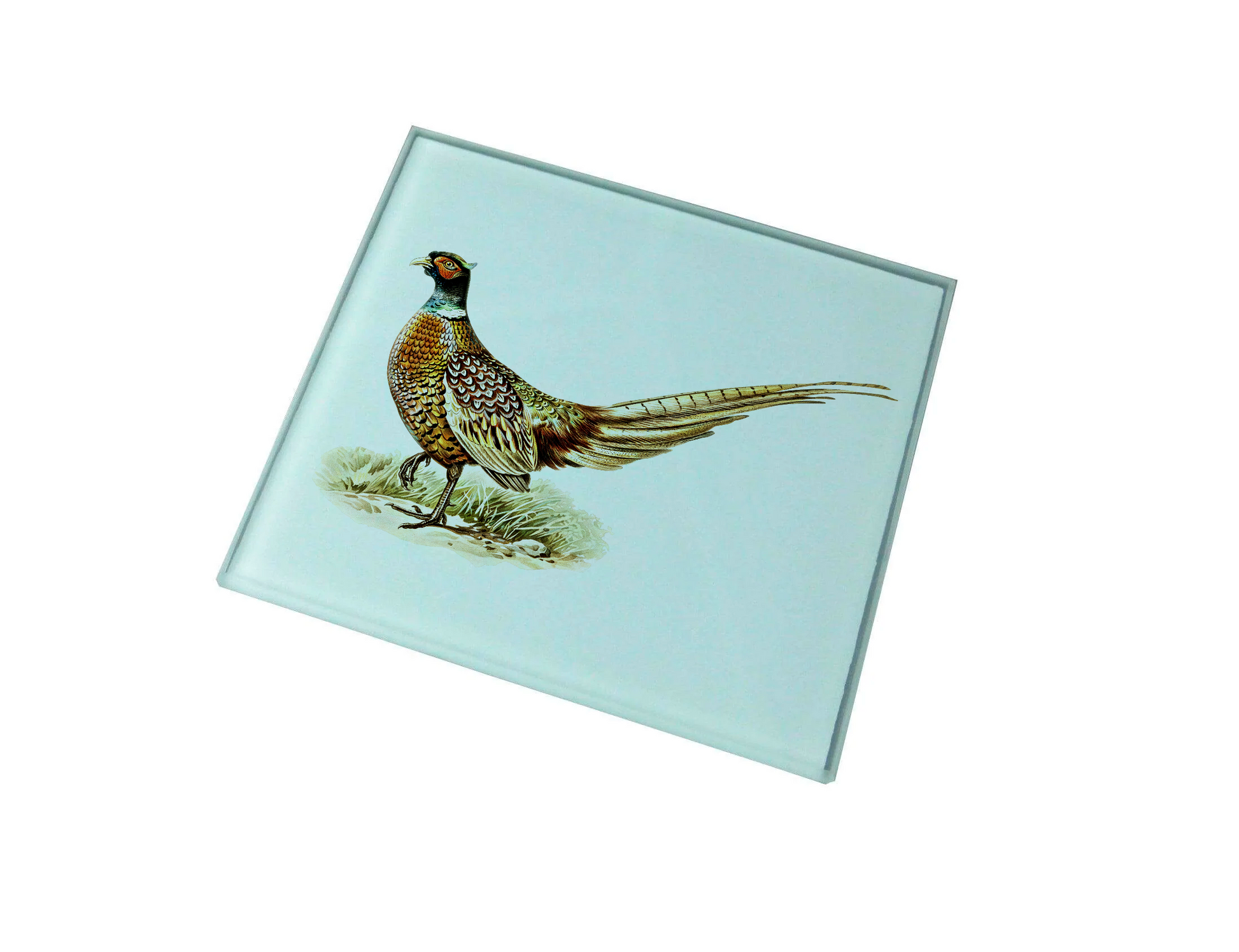 Pheasant Glass Coaster (Set of 4)