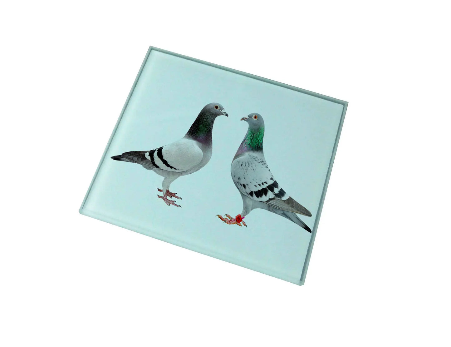 Pigeon Glass Coaster (Set of 4)