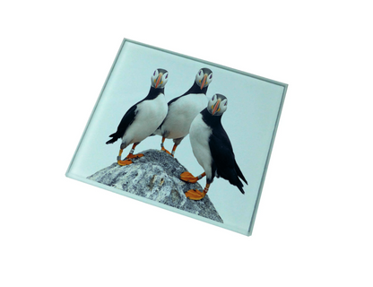 Puffins Glass Coaster (Set of 4)