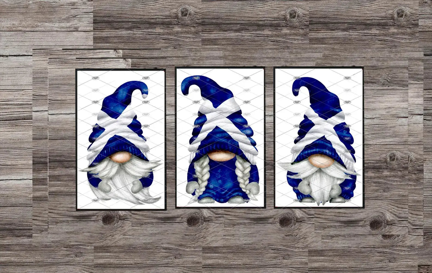Scottish Gnome Trio Print: St Andrew's Flag