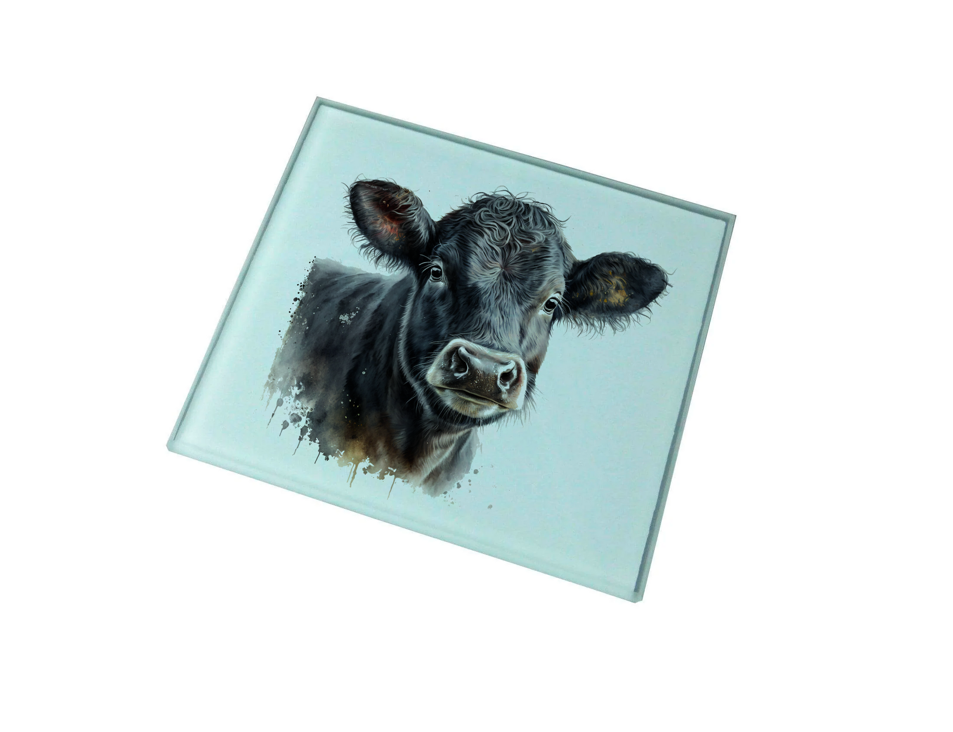Welsh Black Cow Glass Coaster (Set of 4)
